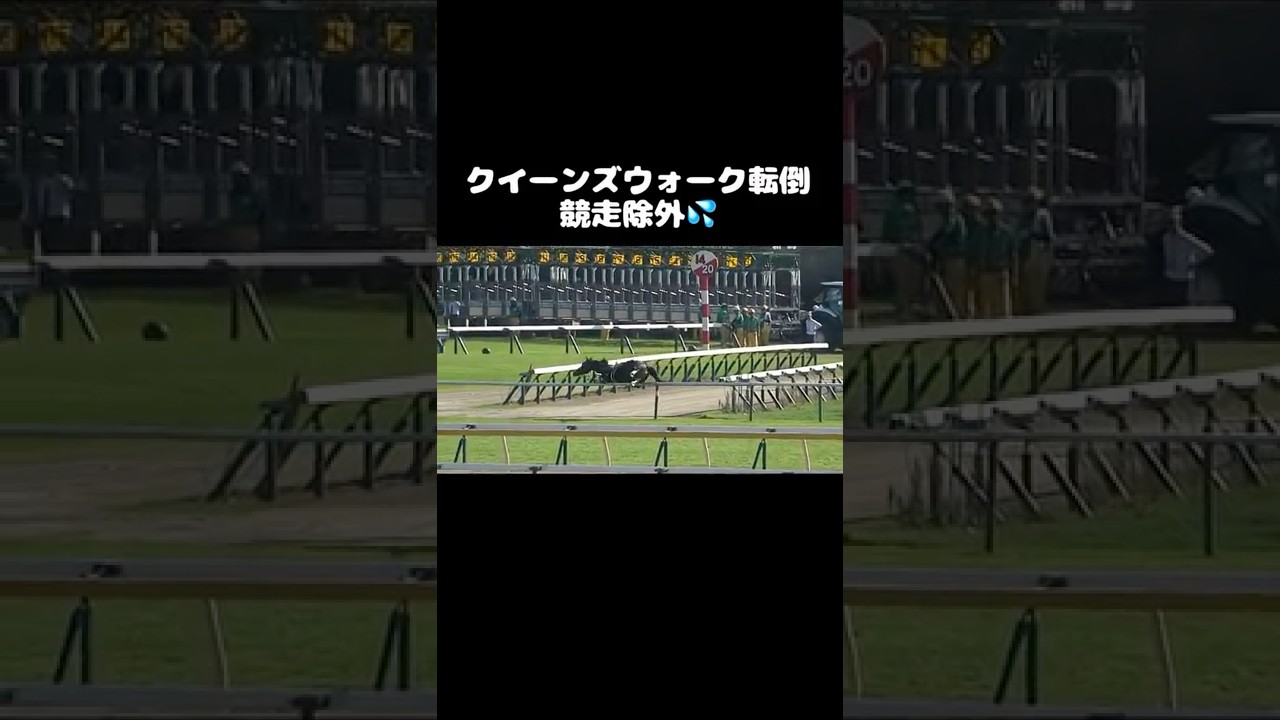 【新潟記念】クイーンズウォーク転倒‼️競走除外💦#shorts #競馬 #川田将雅