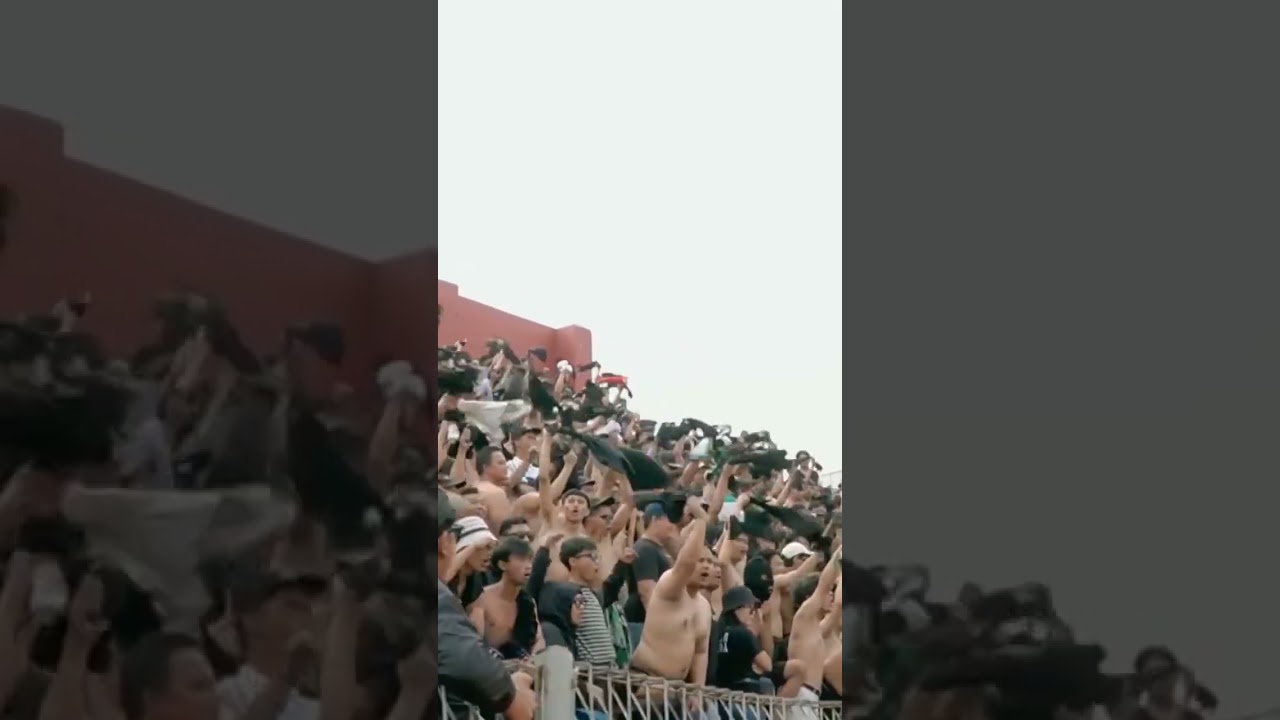 Happy #PSSday 🦅💚