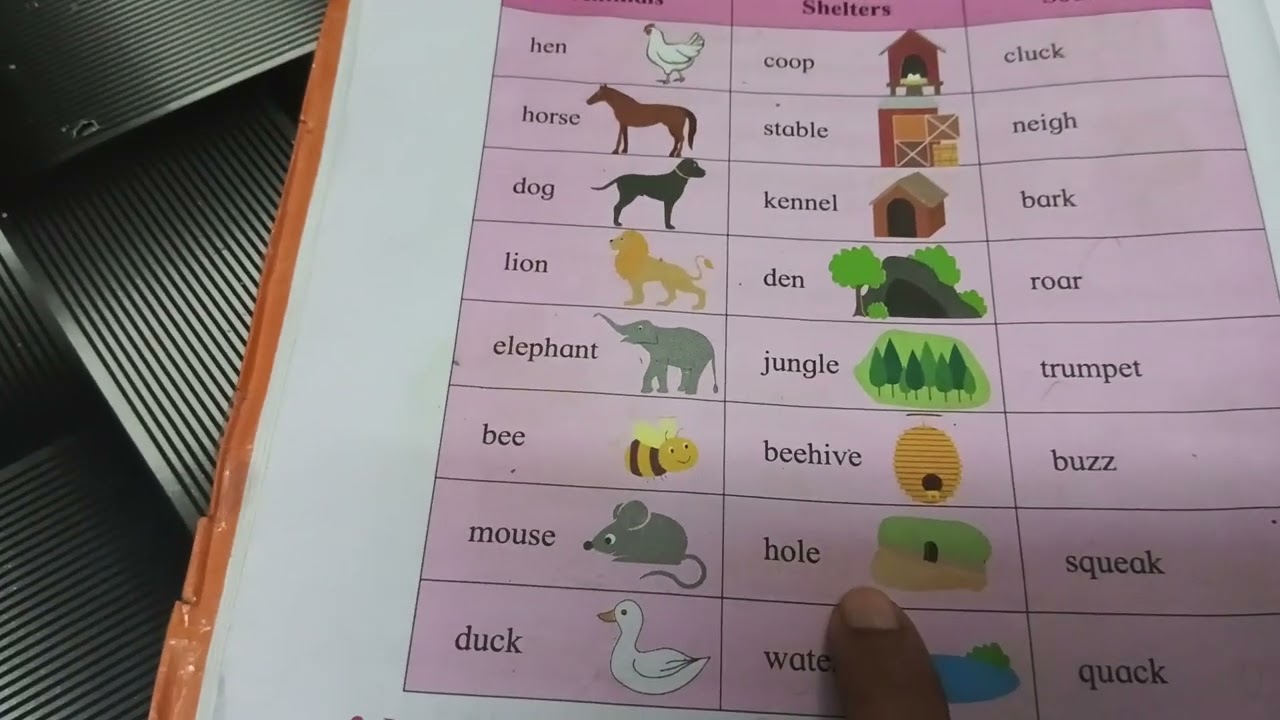 Animal Shelter and Animal sound #learning #story #learn @farhanaamairaKhan