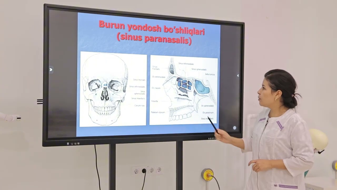 Burun va burun yondosh bo’shliqlarining anatomiyasi, fiziologiyasi va tekshirish usullari