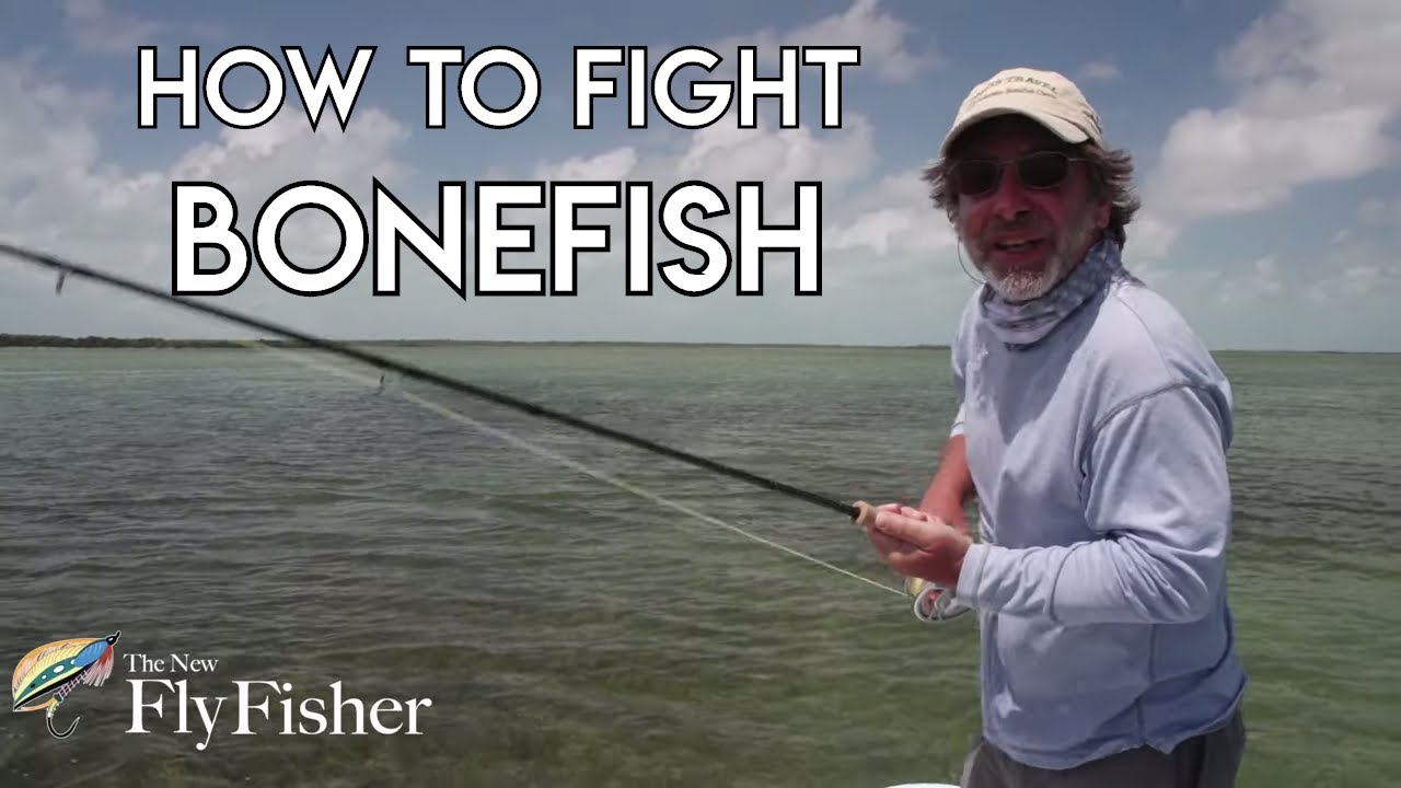 HOW TO FIGHT BONEFISH