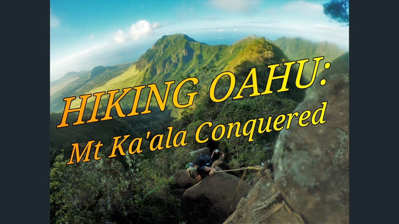 Hiking Oahu: Mt Ka'ala Conquered