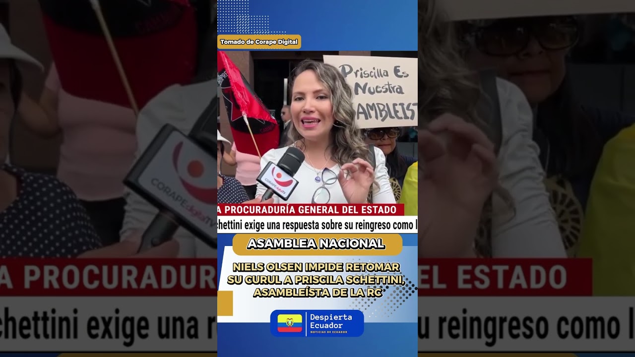 Niels Olsen bloquea el retorno de la asamble&iacute;sta Priscila Schettini