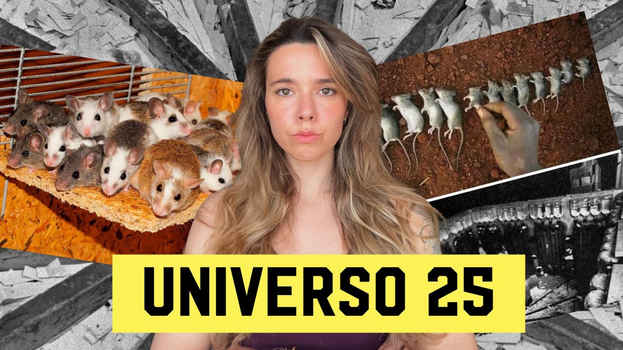 Universo 25: l&rsquo;esperimento sul destino dell&rsquo;umanit&agrave;