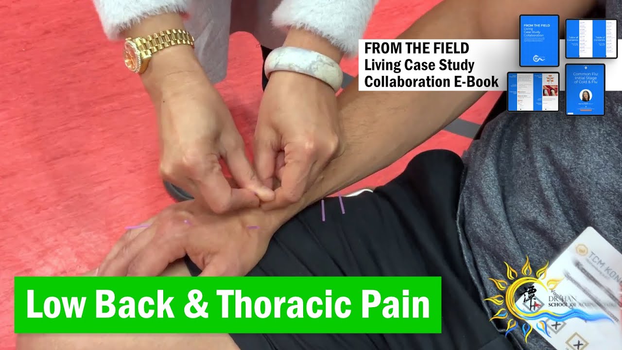 Low Back & Thoracic Spine Pain #eileenhan #balancemethodacupuncture #譚針 #韓玉齡 #TCMKongress Germany