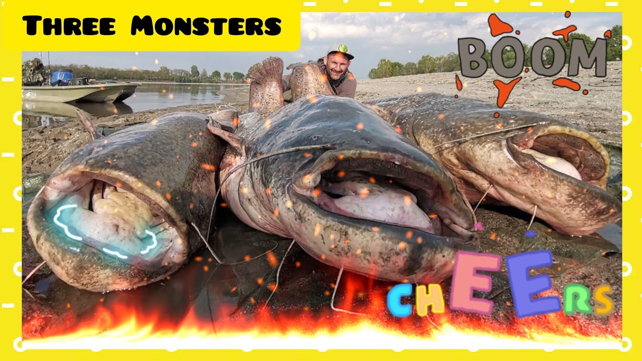 Fishing three giant 230 pound catfish on the river Po in Italy - Part 2 by YURI GRISENDI