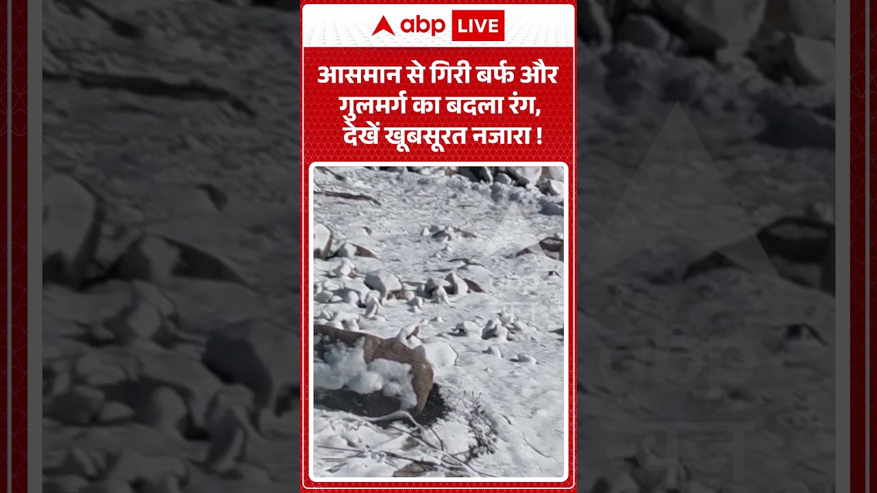 Viral Video : आसमान से गिरी बर्फ और गुलमर्ग का बदला रंग, देखें खूबसूरत नजारा !  | #ytshorts