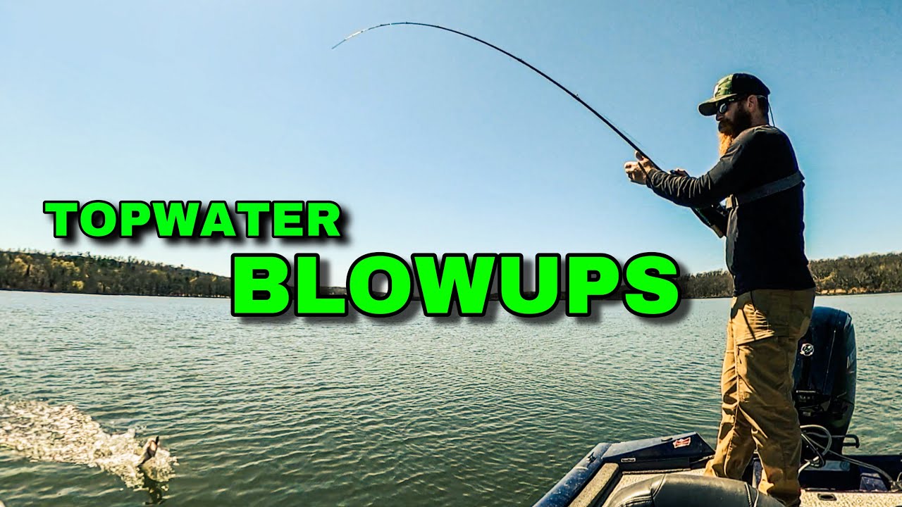TOPWATER IS HERE!!! Lucky Craft Sammy 105 Puts In Work