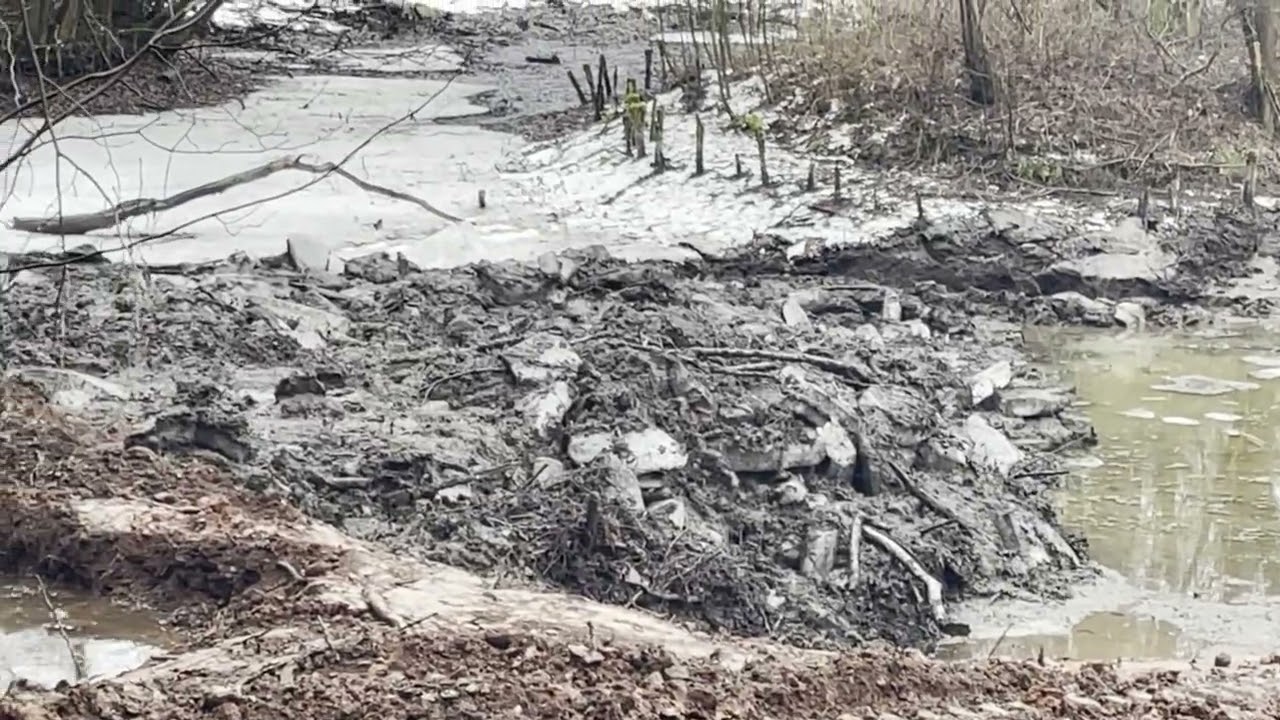 Teich- & Holzarbeiten im Februar 2026 im Stärker Wald!!! Wer weiß etwas darüber?Flächennaturdenkmal!