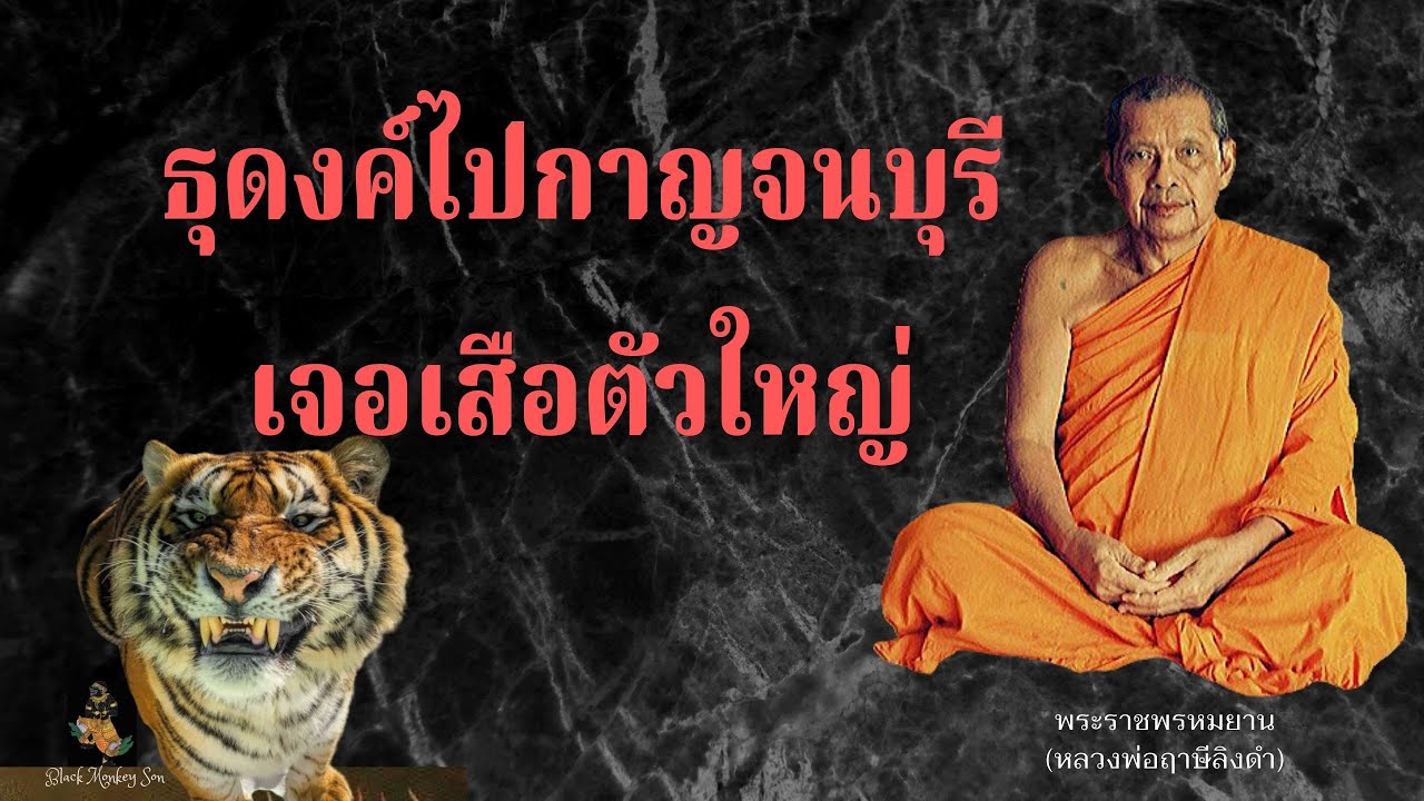 EP.45 หลวงพ่อฤาษีลิงดำ ธุดงค์ไปกาญจนบุรีเจอเสือใหญ่กลางป่า