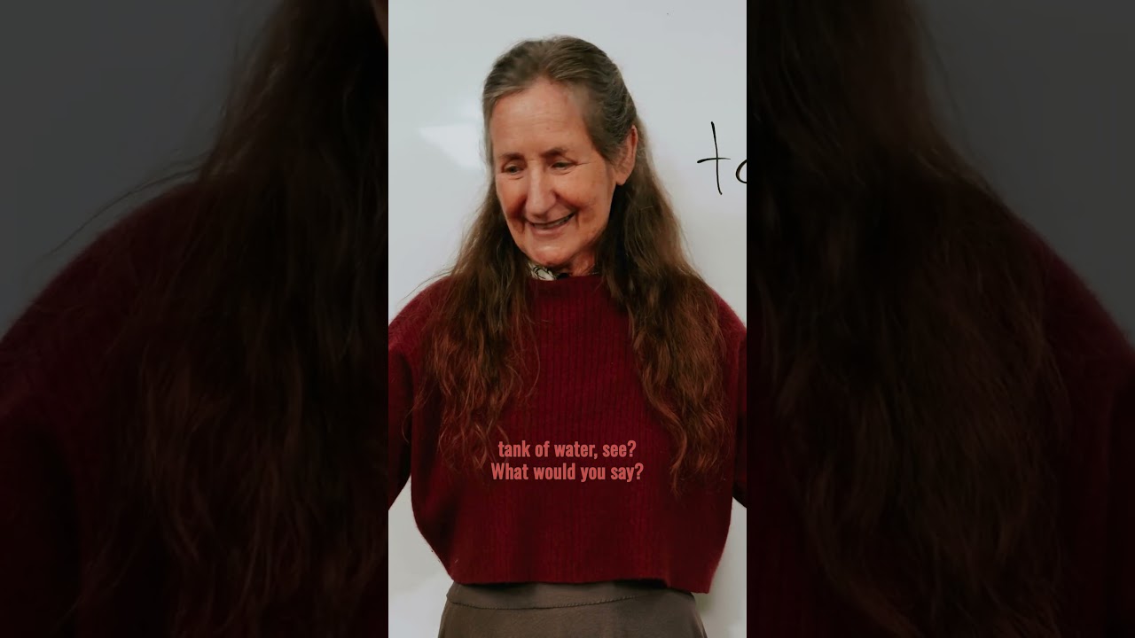 The Truth About Salt: Himalayan vs. Celtic &ndash; What Your Body Needs? By Barbara Oneill