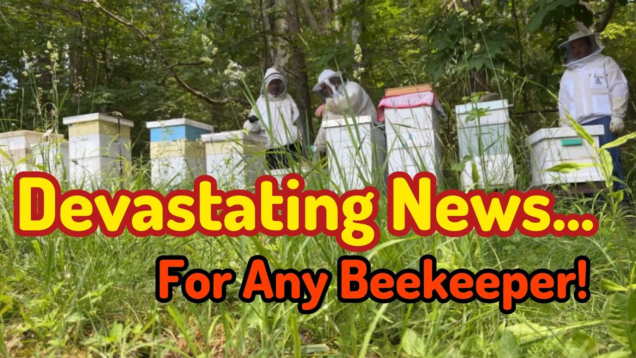 This Could Make Any Beekeeper Want To Quit! | Let’s Talk