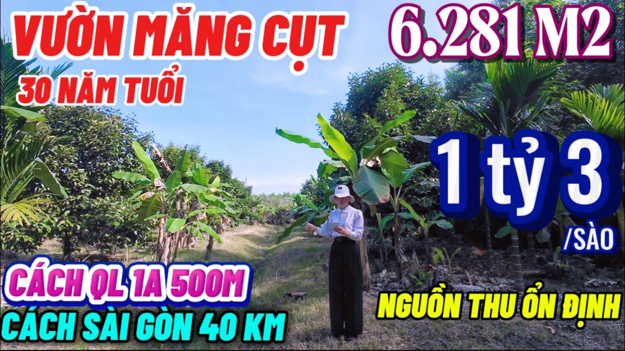 Nhà đất đồng nai,Hạ giá bán gấp vườn măng cụt 30 năm tuổi cách QL1A 500m mặt tiền bê tông khu dân cư