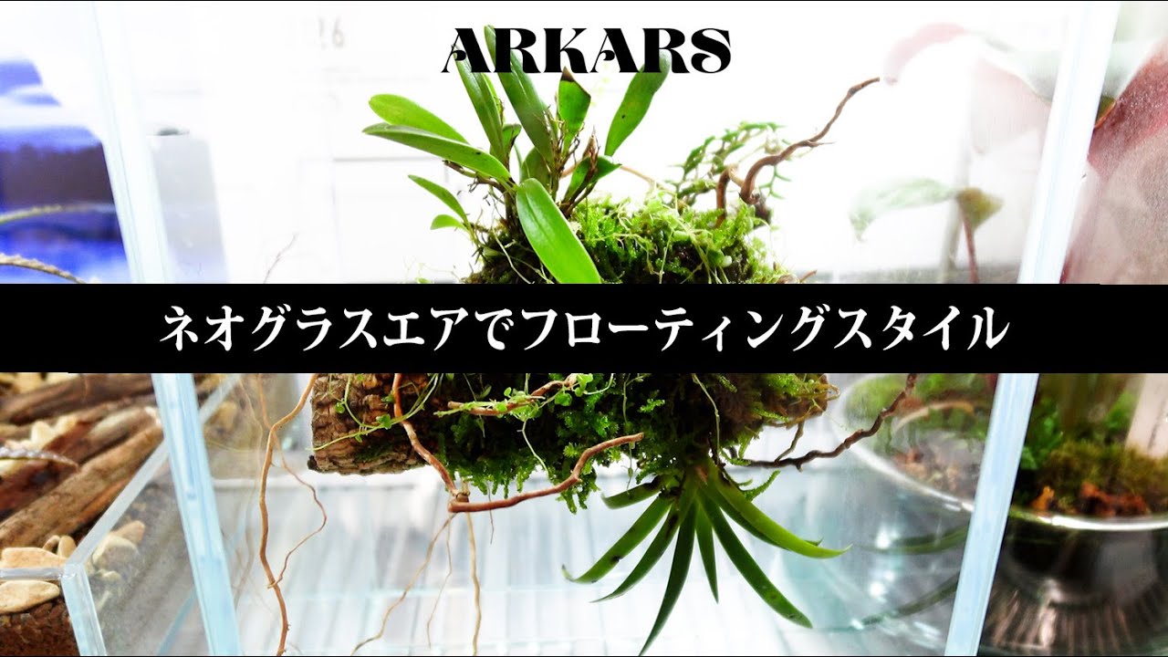 ARKARS_055「ネオグラスエアでフローティングスタイル」