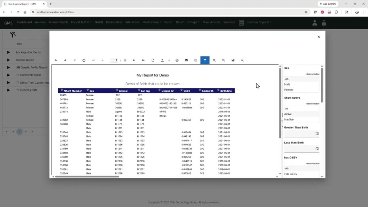 GMS Web App: Custom Reports Menu