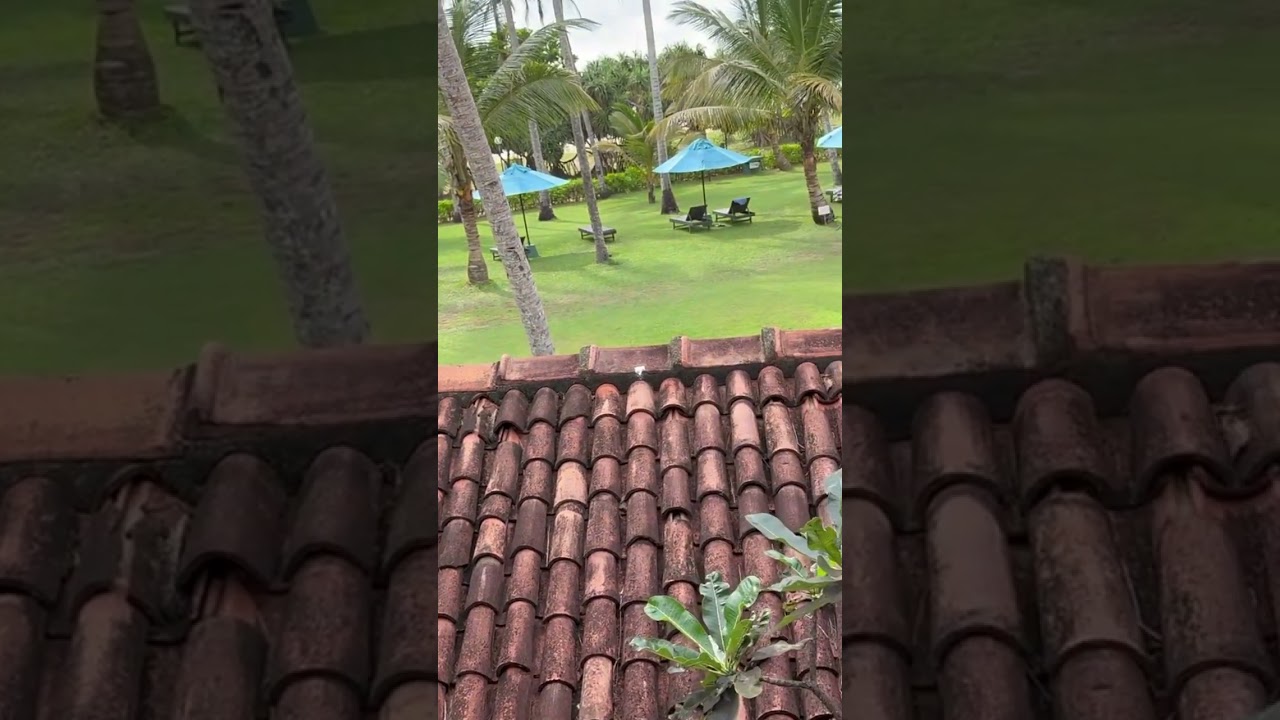 Thaala hotel Bentota Sri Lanka