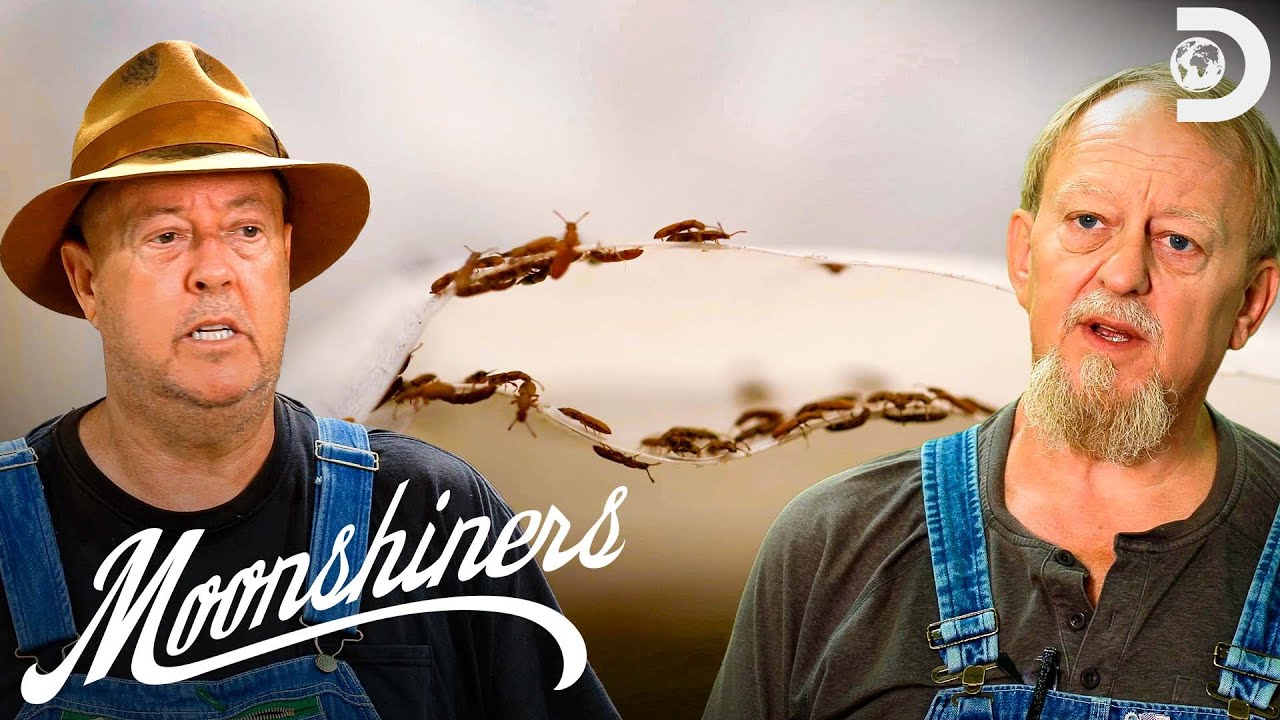 Bugs Infest Mark & Digger&rsquo;s Malted Grain! | Moonshiners