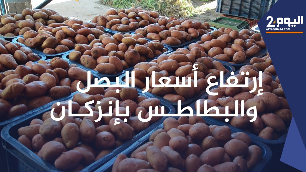 إرتـفاع أسـعار البصـل والبطاطـس بسوق الجمـلة للخضر والفواكـه بإنزكـان