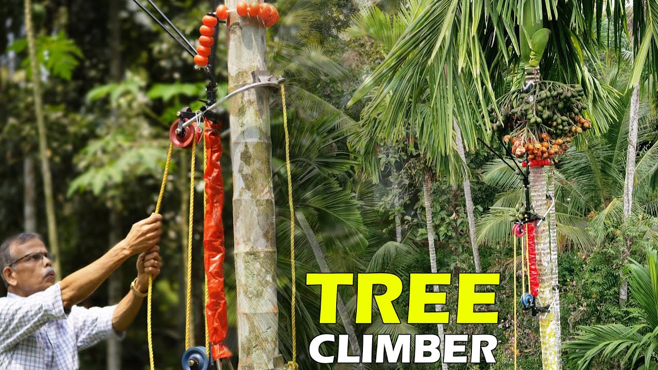 Tree Climbing Machine