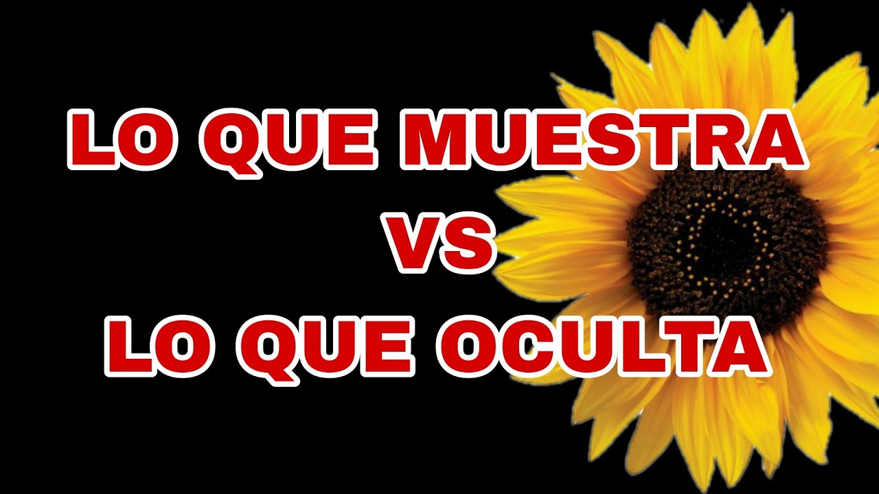 ☀️🌘 Lo que te muestra y lo que te OCULTA 🌘☀️ Lectura Interactiva 🌟