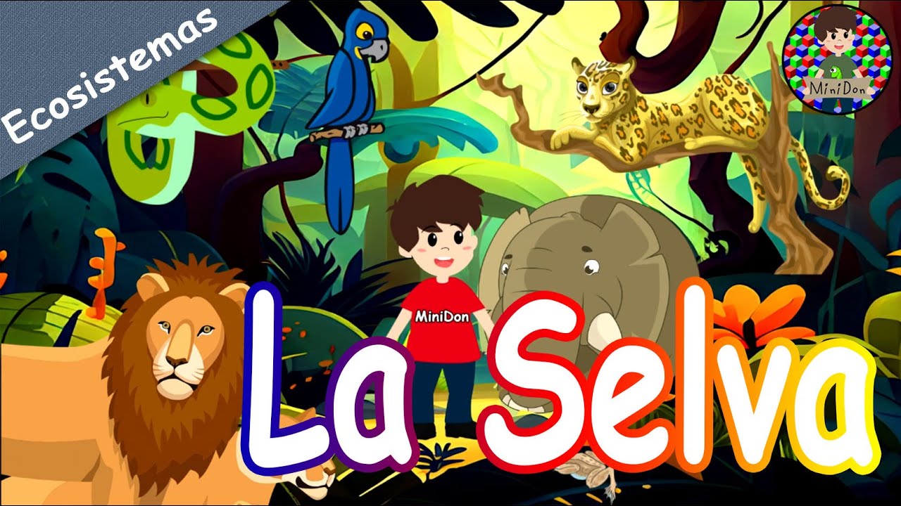 La Selva. ¿Qué es la selva? Flora y fauna.  Video educativo