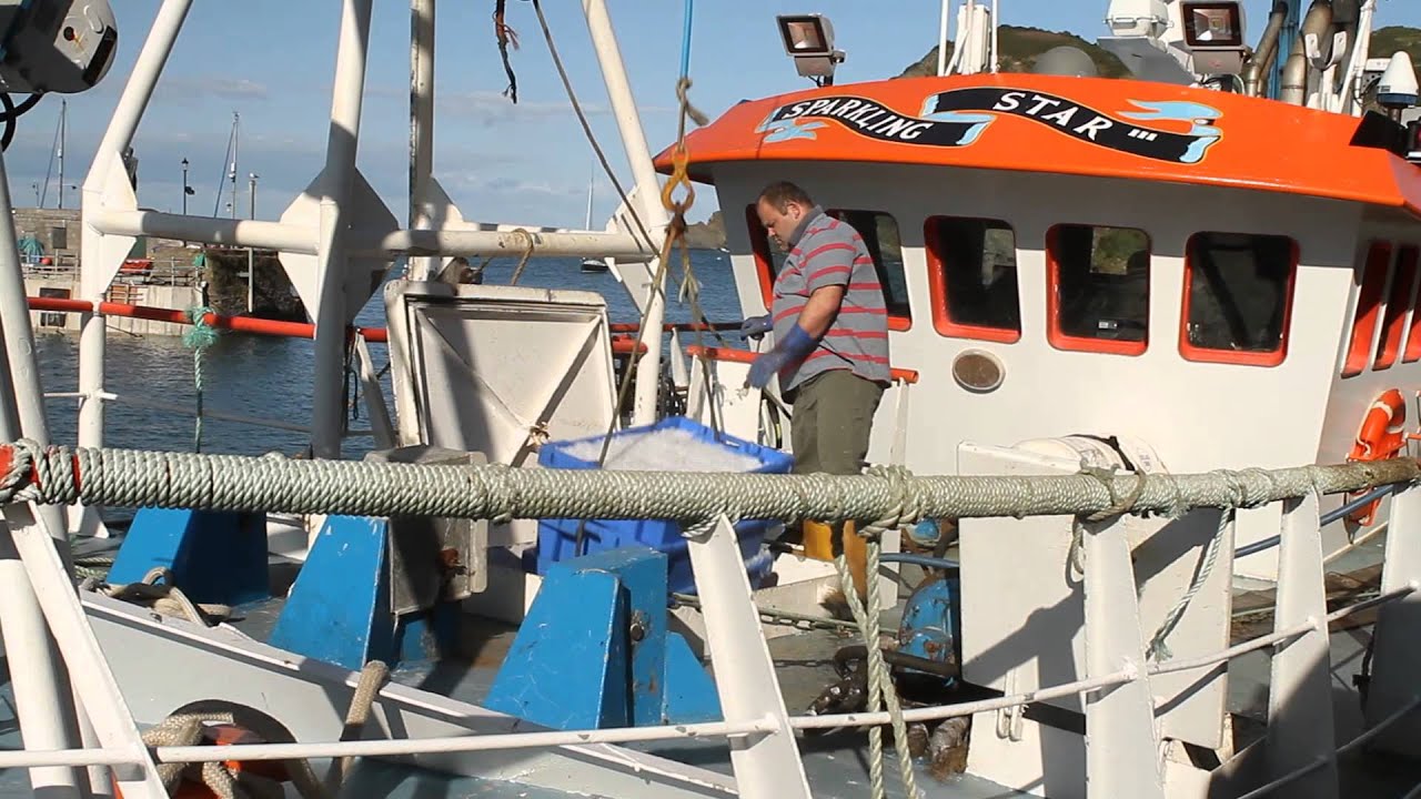 Boat Stories: Fishing for the Long Haul?