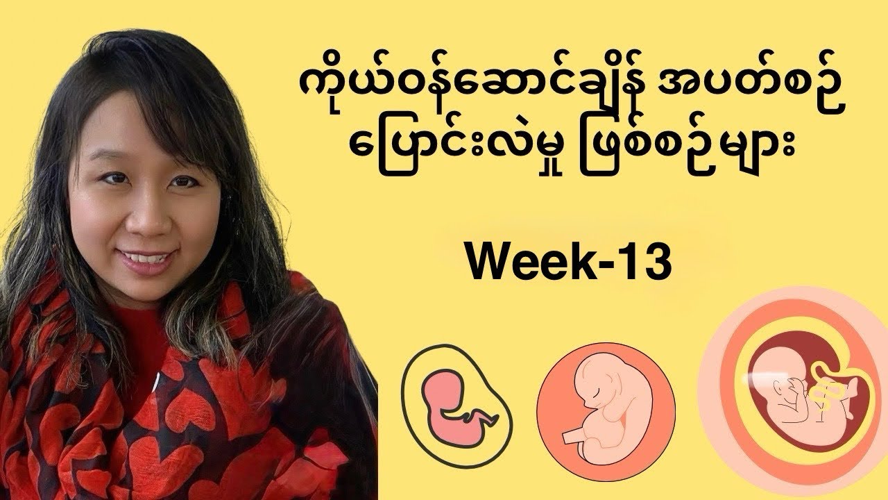 ကိုယ်ဝန်ဆောင်ချိန် အပတ်စဉ်ပြောင်းလဲမှုဖြစ်စဉ်များ(Week-13)