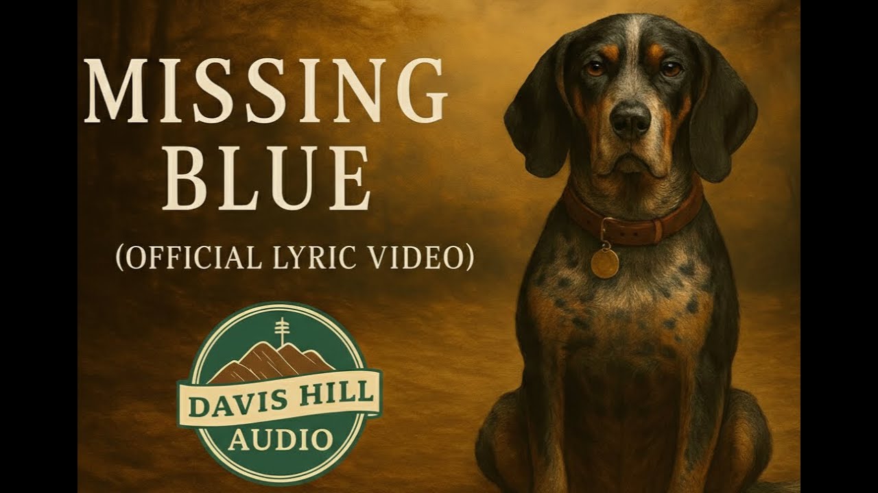 Missing Blue | Davis Hill Audio | Official Lyric Video