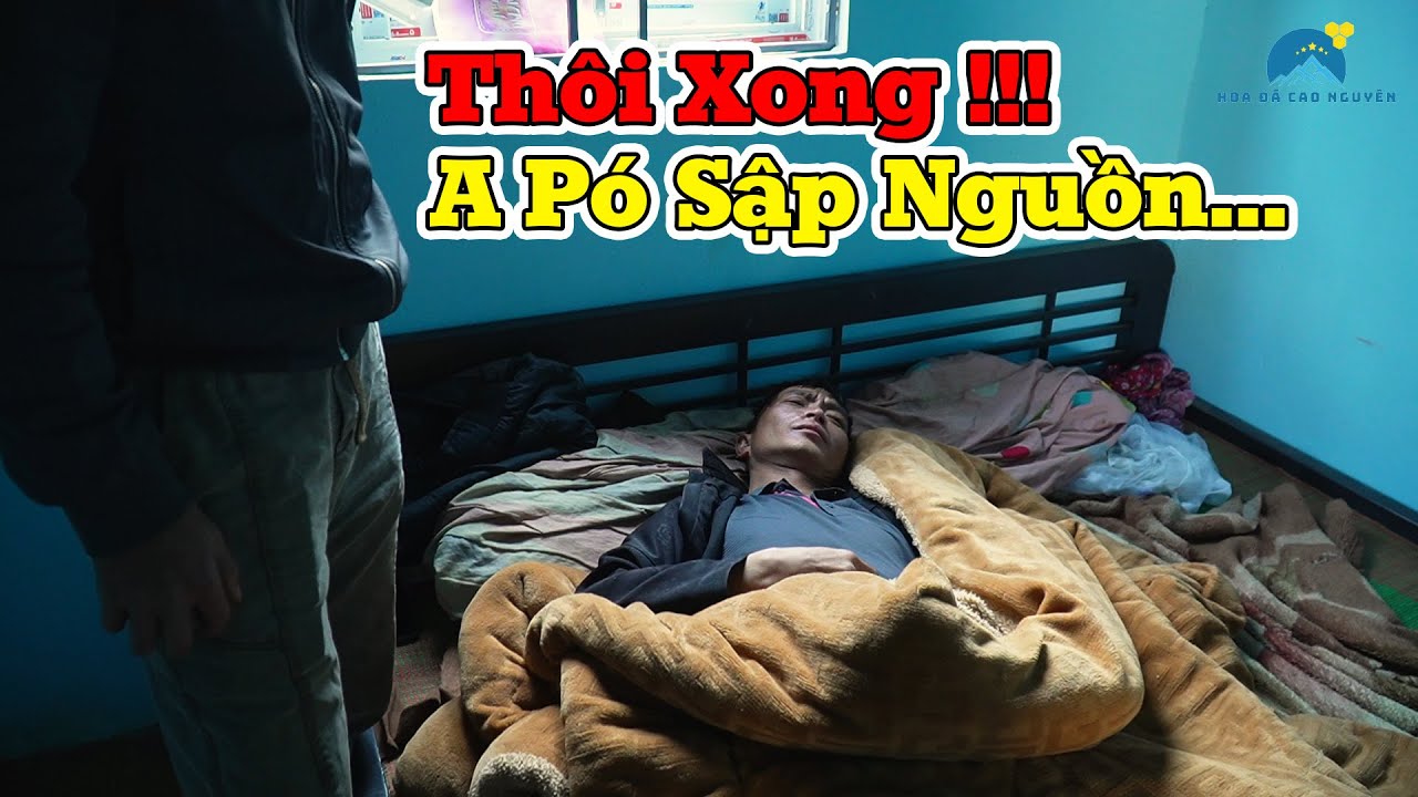 A Pó hậu Tân Gia quay ra đổ bệnh... | Cứ ăn vào là buồn N.Ô.N... liệu đã mắc phải bệnh gì??? | HĐCN