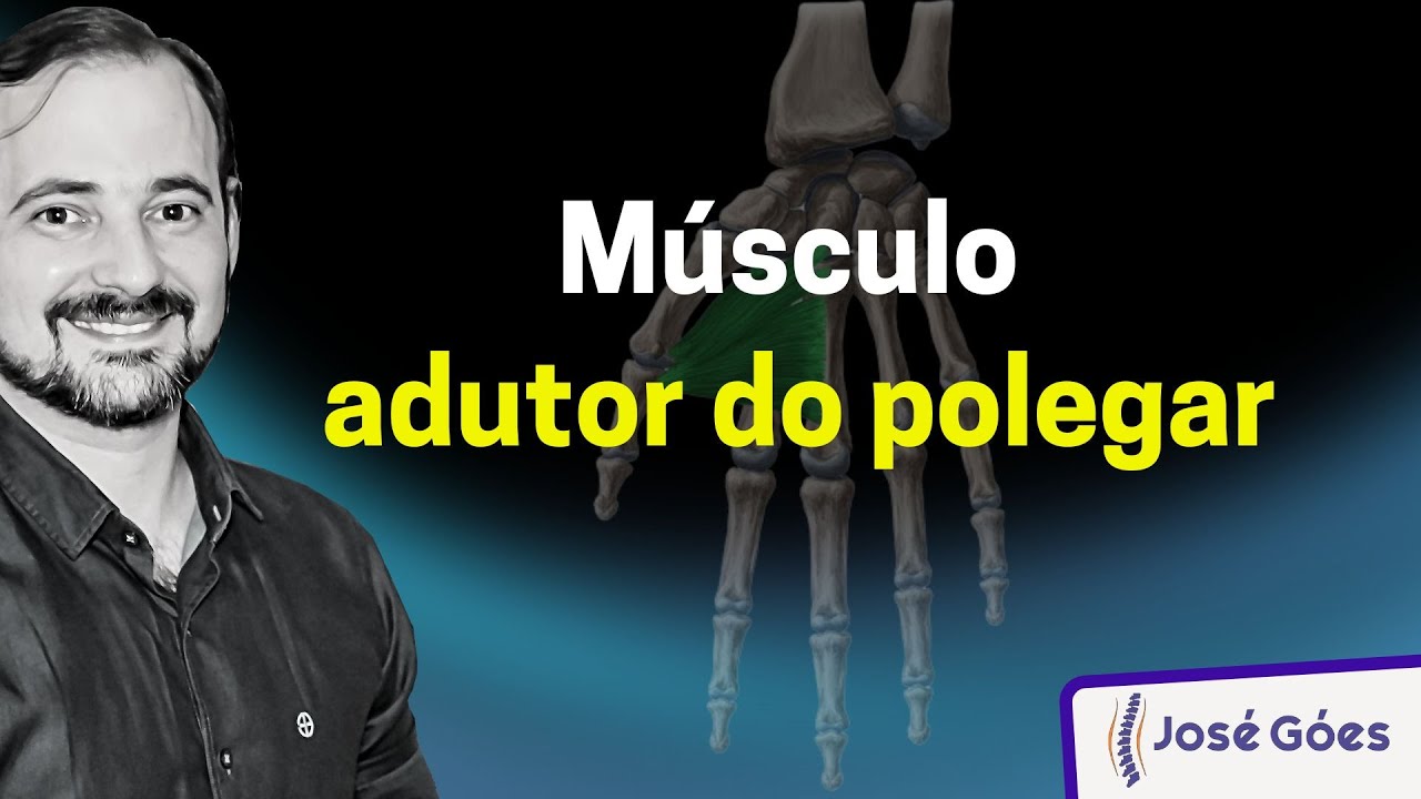 Músculo adutor do polegar | José Góes