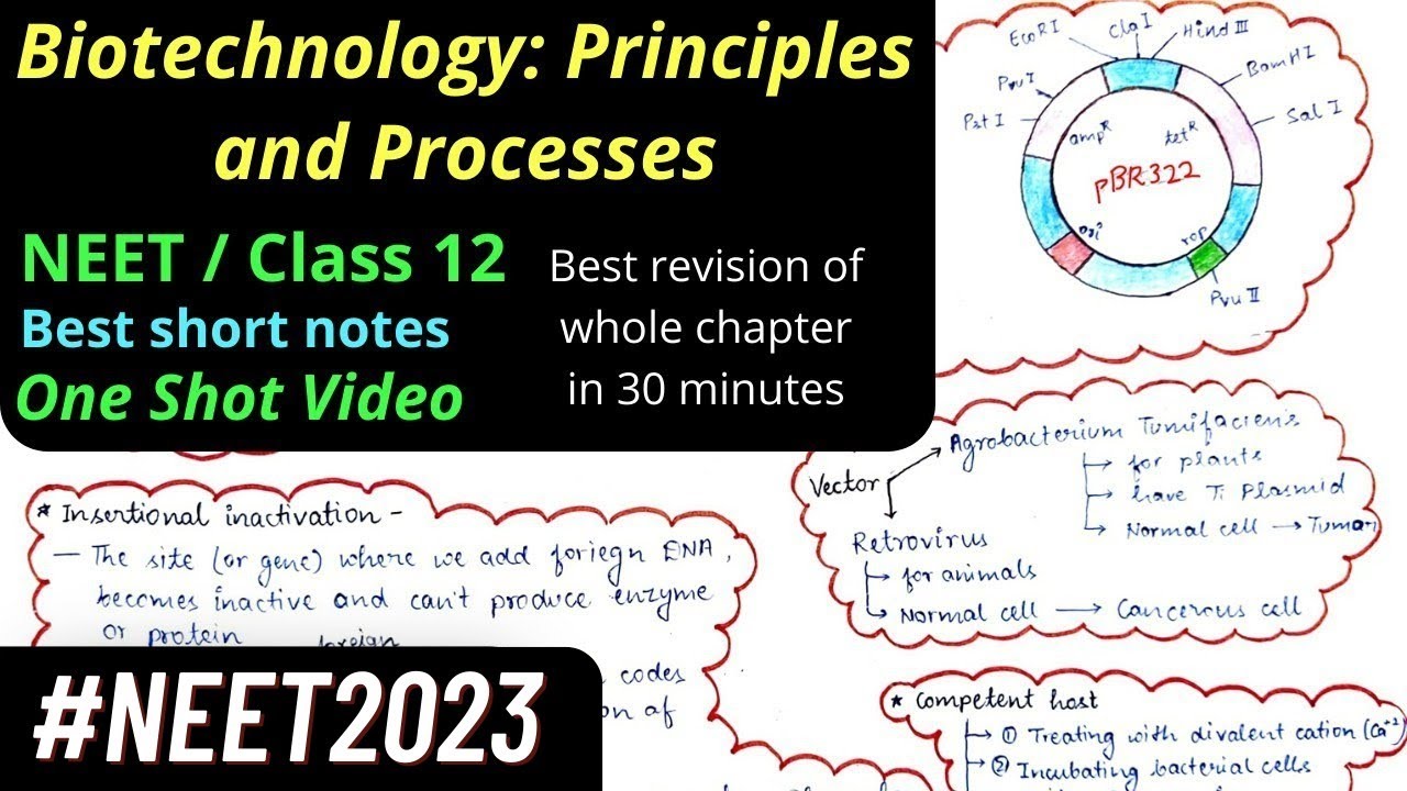 Biotechnology: Principles and Processes Mind map NEET Class 12 One shot revision #neet2022