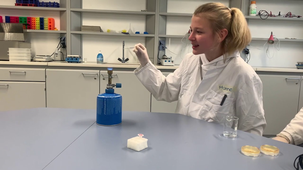 Schülerinnen und Schüler (Q1) entdecken spannende Welt der Genetik im B!Lab Beverungen