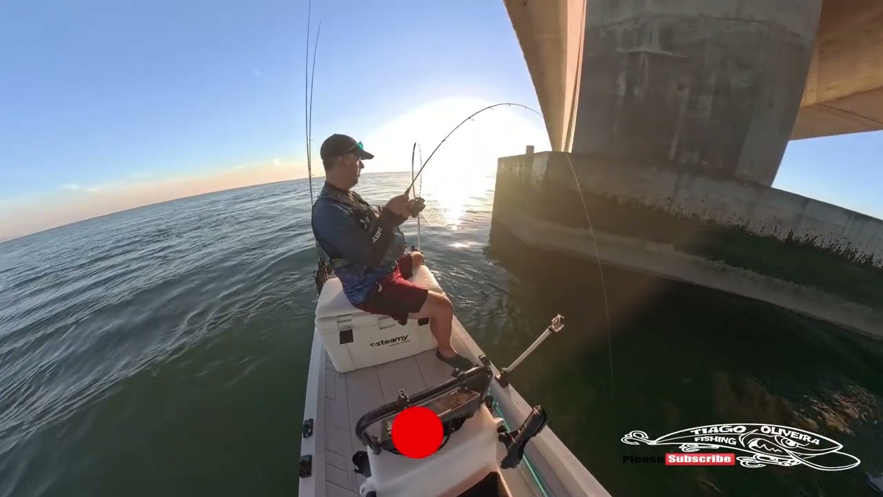 🎣 Pesca de Skiff | O Meu Regresso Ap&oacute;s 3 Anos | Corvinas no tejo | light jigging
