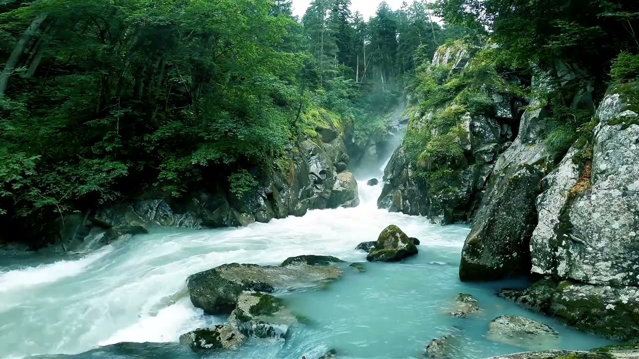 Deep Sleep in Nature 🌊 Forest Waterfall Sounds  No Music