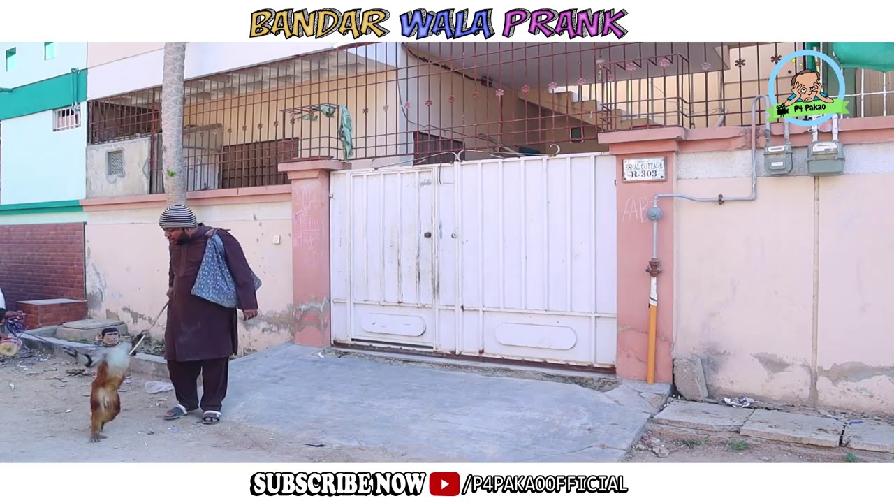 Bandar Wala Prank // by Nadir Ali