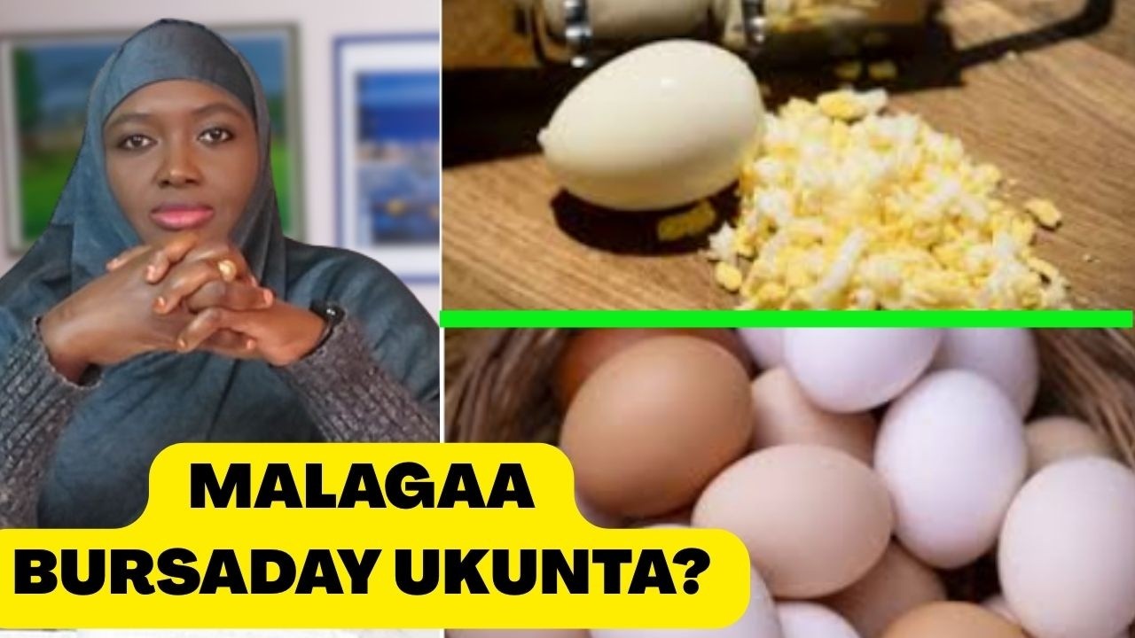 MAGACAADA AYAAD HILMAAMEEYSAA, HADAADAN XASUUSTA ILAASHANIN!!