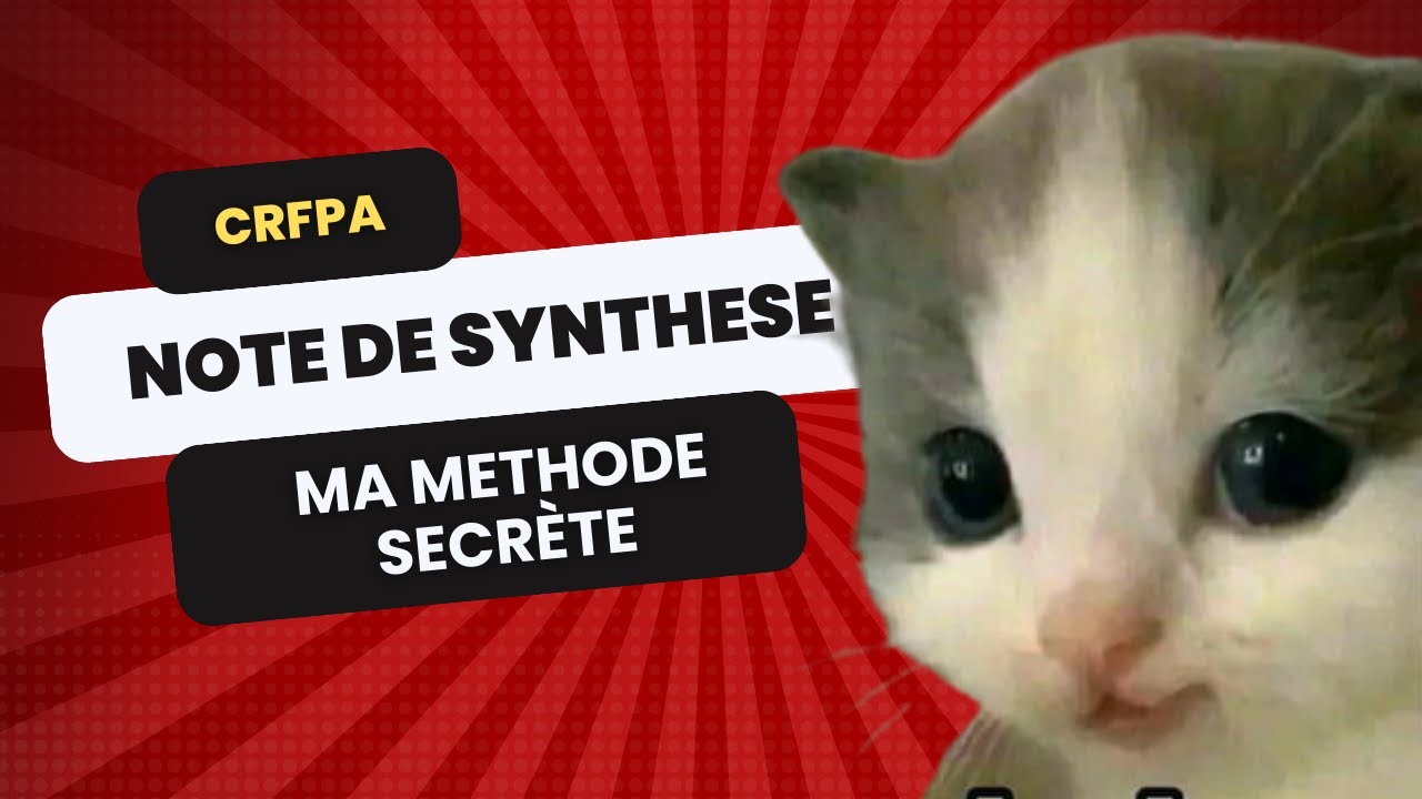 [CRFPA] Ma méthode (secrète) de la note de synthèse