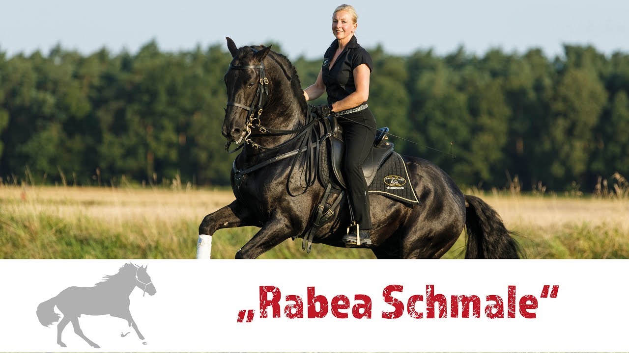 Vorstellungsvideo Rabea Schmale