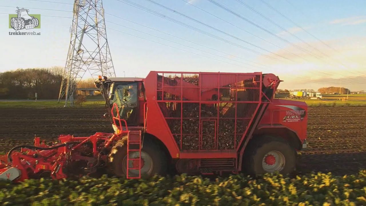 Vervaet 617 sugar beet harvester