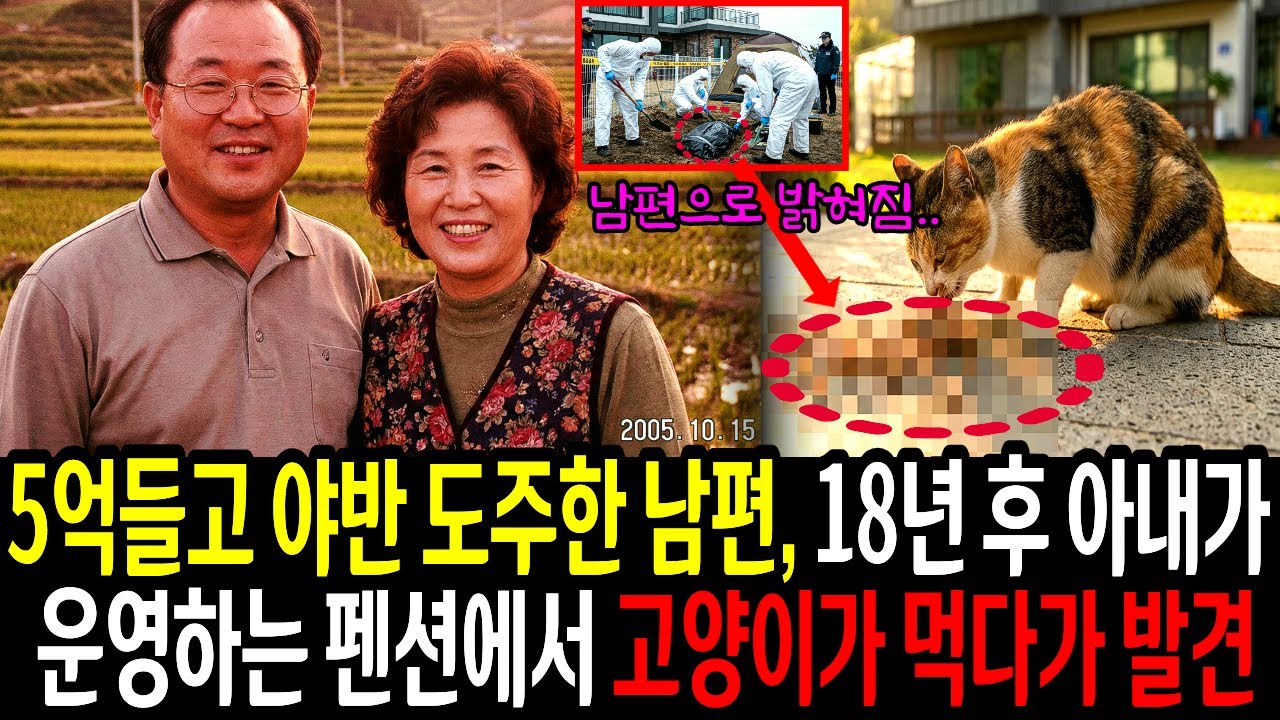 2005년 5억원들고 야반 도주한 남편, 18년 후 아내가 운영하는 펜션에서 고양이가 먹다가 발견 된 충격적 진실 | 미스터리 | 미제사건 | 충격반전