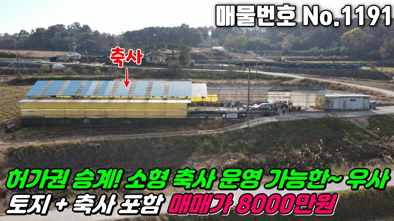 No.1191 축사 토지 허가권 승계포함 매매 8000만원 충청남도 논산시 노성면 읍내리 동물및식물관련시설 축사 우사매매 #충청남도축사우사매매 #논산축사우사매매 #노성면축사우사매매