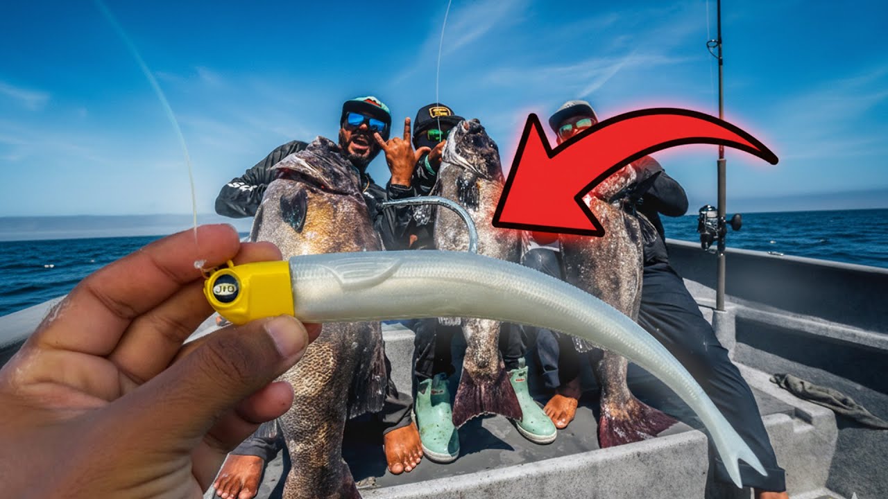 ¡Descubre el paraíso de pesca en el norte de México! / Imposible no pescar aquí