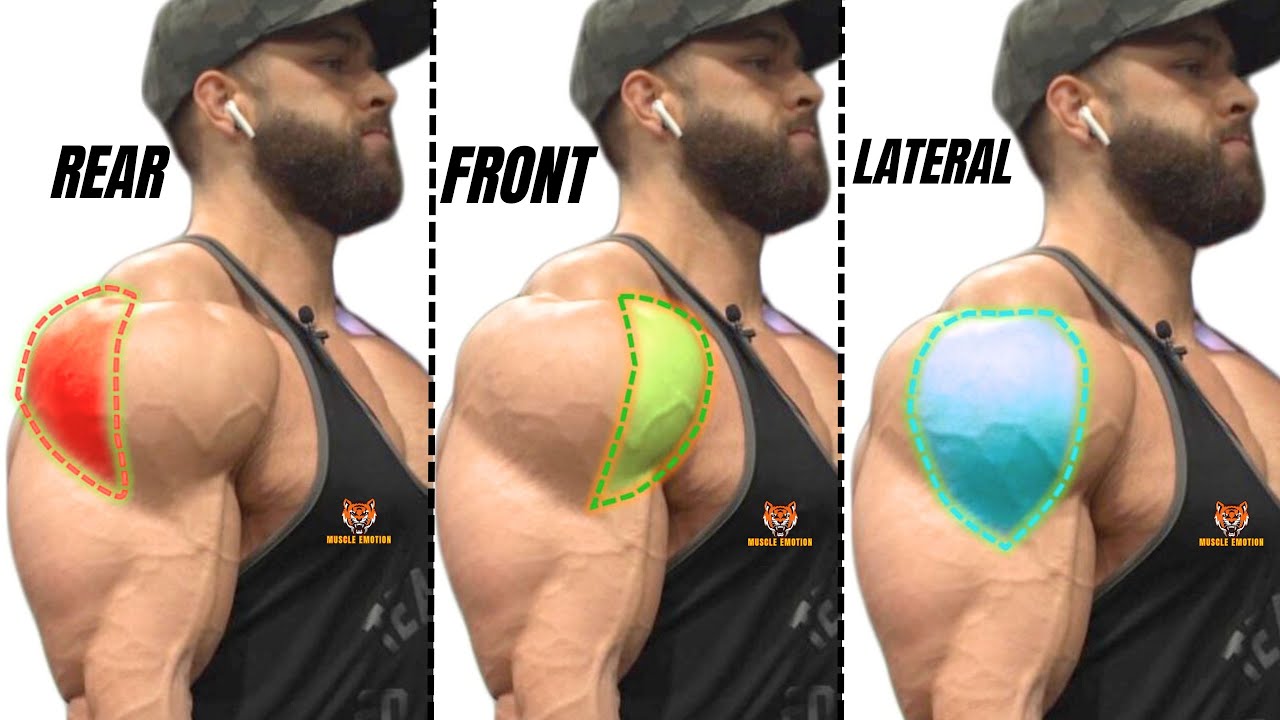 TOP 5 REAR DELTOID / LATERAL DELTOID / FRONT DELTOID WORKOUT WITH DUMBBELLS BARBELL CABLE AT GYM