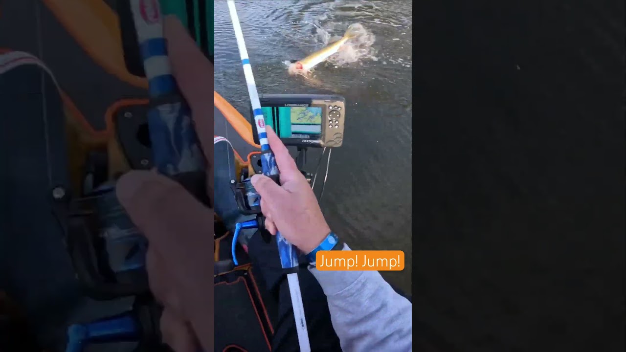 Jumping Pickerel 