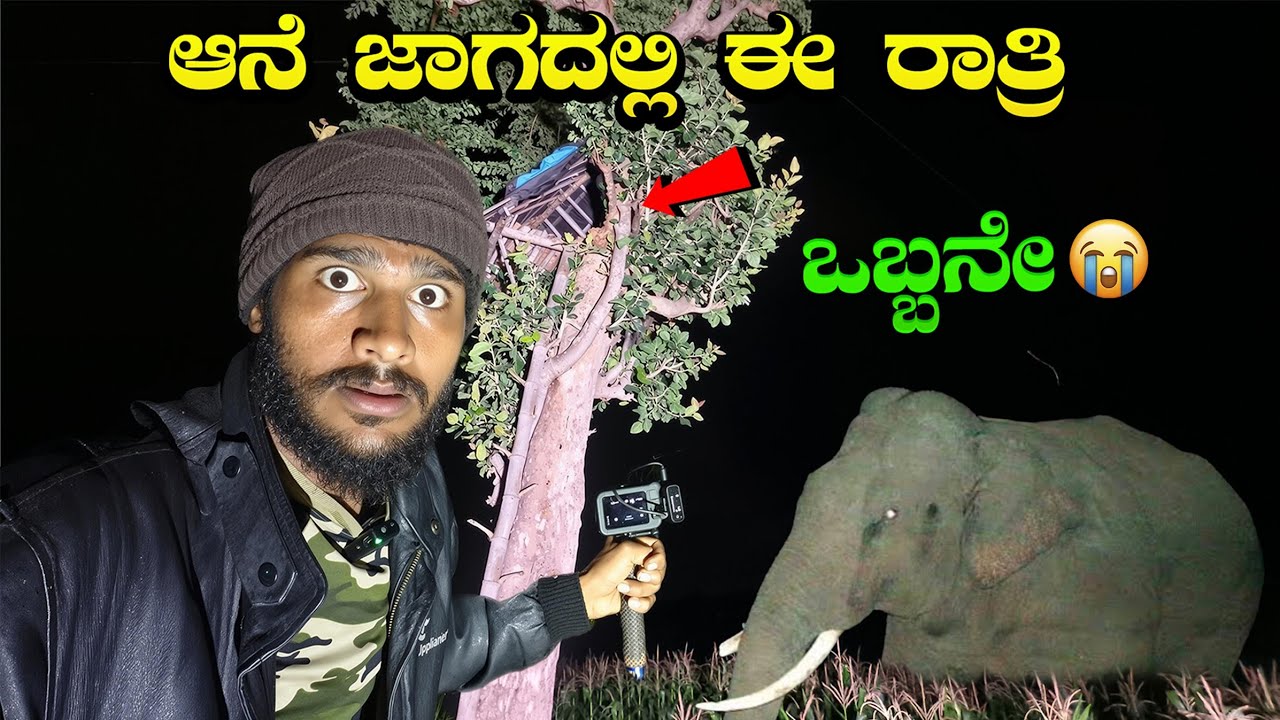 ಈ ರಾತ್ರಿ ಒಬ್ಬನೇ😰 | Solo Camping in Elephant Attack Place | Avatar Shiva Official 