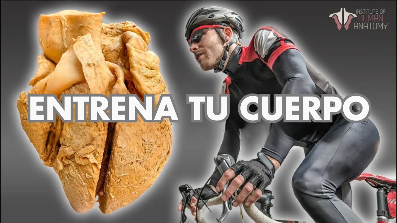 ¿Por qué el ejercicio es el REY de la salud?