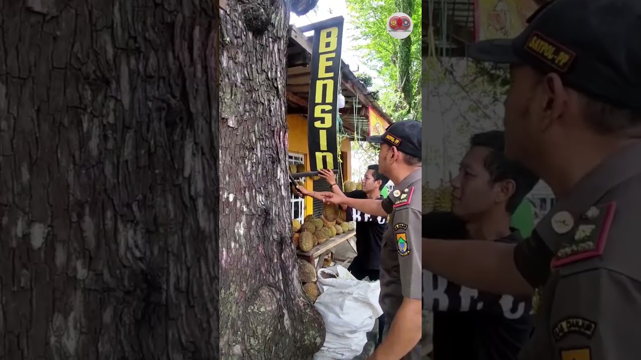 Penertiban Media Luar Ruang dan Penertiban PKL di sepanjang Jalan Protokol Kabupaten Cianjur. #fyp
