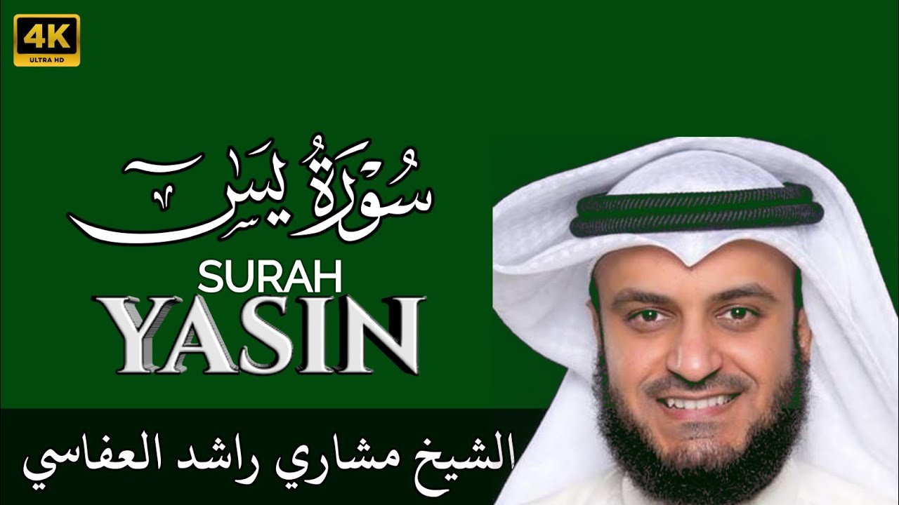 Surah Yaseen | Tilawat by Sheikh Mishari Rashid Alafasy | Heart-Touching Quran Recitation | Ep 005