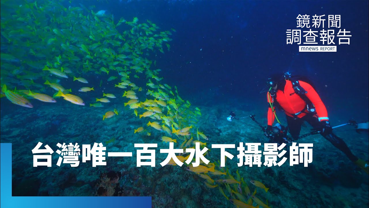 台灣唯一百大水下攝影師　與海邂逅20年磨一劍｜鏡新聞調查報告 #鏡新聞