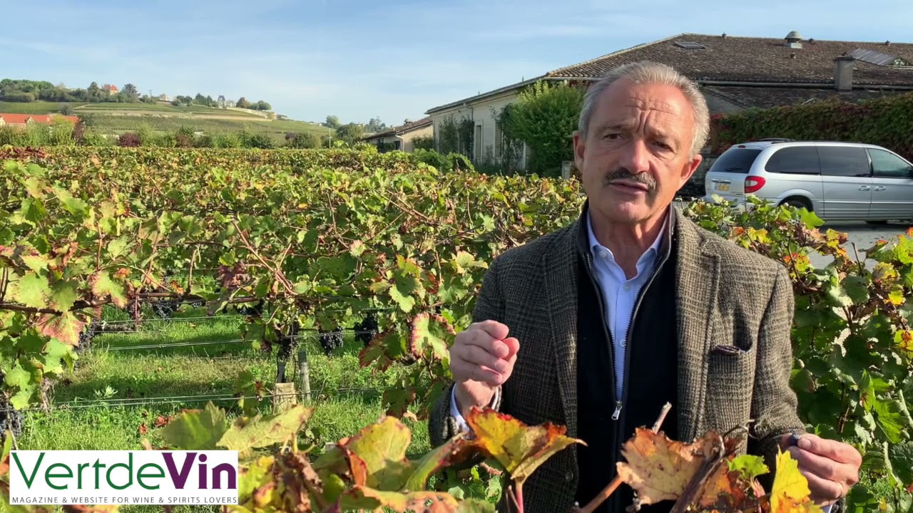 Stephan von Neipperg (Canon La Gaffelière, La Mondotte...) speaks about the 2021 harvest